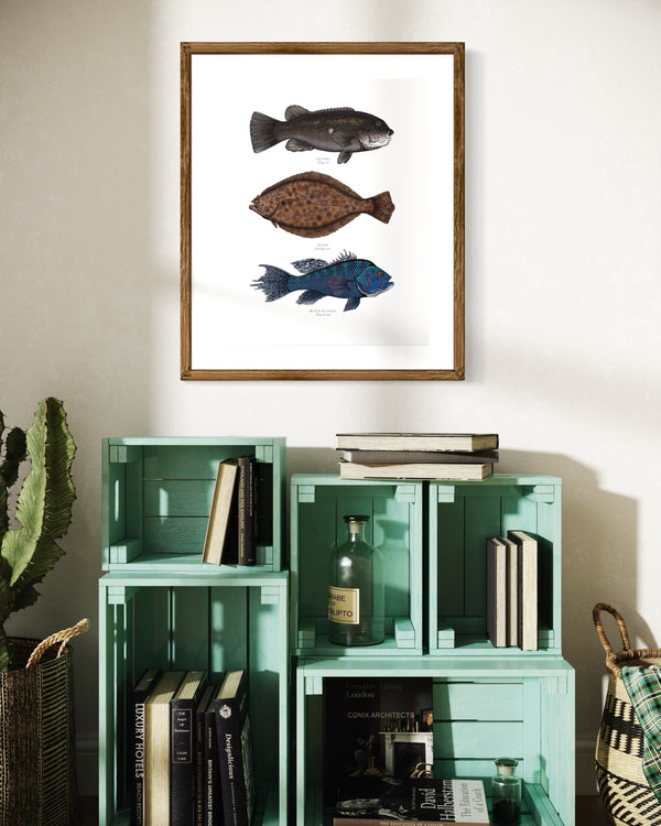 Northeast Inshore II Color Fine Art Print || 16x20