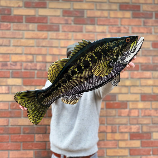 Largemouth Bass || Print Mount
