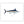 Load image into Gallery viewer, Blue Marlin II Color Fine Art Print
