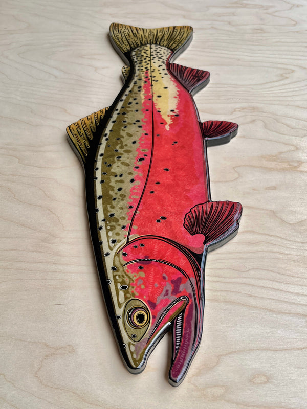 Greenback Cutthroat || Print Mount || 26"