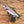 Load image into Gallery viewer, Steelhead || Print Mount || 31"
