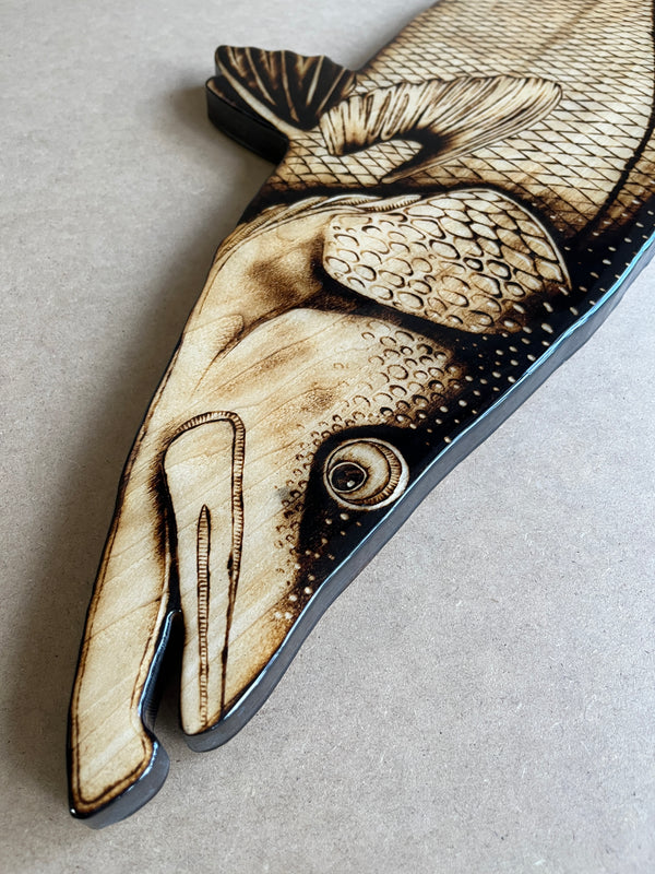 Snook 40” || Original Woodburned Fish Artwork