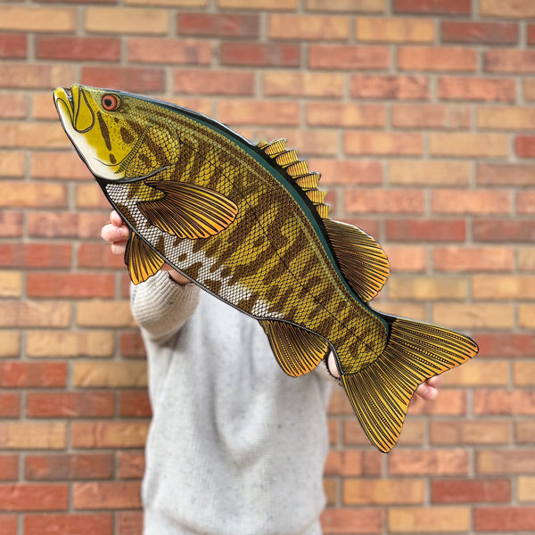 Smallmouth Bass || Print Mount || 24"