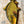 Load image into Gallery viewer, Carp || Print Mount || 28"
