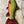 Load image into Gallery viewer, Brook Trout || Print Mount || 28"
