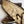 Load image into Gallery viewer, Snook 40” || Original Woodburned Fish Artwork

