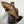 Load image into Gallery viewer, Black Grouper Southern Coastal Design Wall Art
