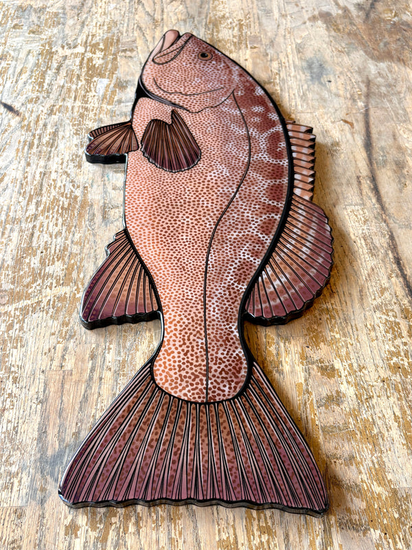 Cabrilla Grouper Artwork