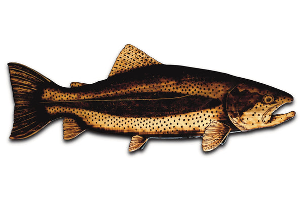 Rainbow Trout