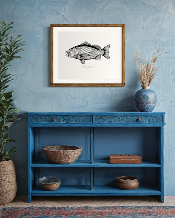 Cubera Snapper II Black and White Fine Art Print