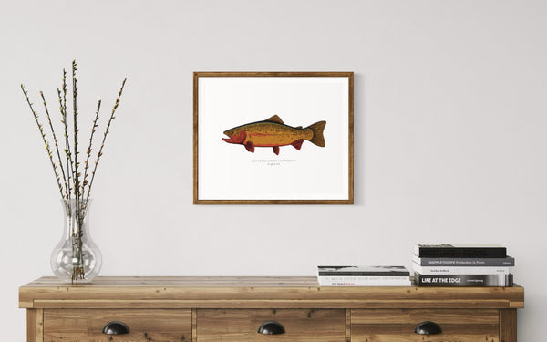 Colorado River Cutthroat II Color Fine Art Print