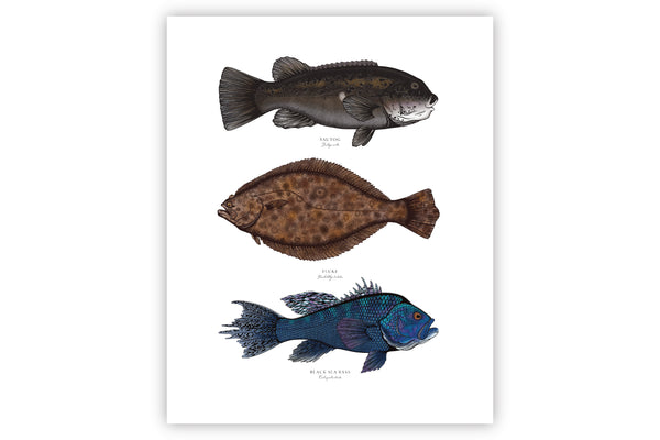 Northeast Inshore II Color Fine Art Print || 16x20