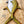 Load image into Gallery viewer, Decorative Crevalle Jack fish wall art on a wooden surface
