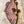 Load image into Gallery viewer, Leopard Grouper Large Artwork
