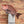 Load image into Gallery viewer, Large Red Snapper Artwork
