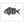 Load image into Gallery viewer, Sheepshead II Color Fish Print

