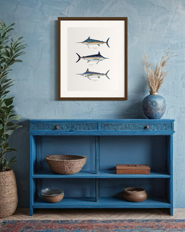 Print Of Three Marlin