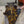 Load and play video in Gallery viewer, Black Grouper
