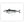 Load image into Gallery viewer, Atlantic Mackerel II Black and White Fine Art Print
