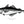 Load image into Gallery viewer, Atlantic Pollock II Black and White Fine Art Print
