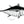 Load image into Gallery viewer, Bigeye Tuna II Black and White Fine Art Print
