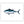 Load image into Gallery viewer, Bluefin Tuna II Color Fine Art Print
