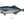 Load image into Gallery viewer, Bluefish II Color Fine Art Print
