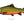 Load image into Gallery viewer, Brook Trout II Color Fine Art Print
