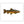 Load image into Gallery viewer, Brown Trout II Color Fine Art Print
