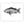 Load image into Gallery viewer, Cubera Snapper II Black and White Fine Art Print
