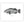 Load image into Gallery viewer, Gag Grouper II Black and White Fine Art Print
