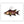 Load image into Gallery viewer, Hogfish II Color Fine Art Print
