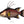 Load image into Gallery viewer, Hogfish II Color Fine Art Print

