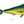 Load image into Gallery viewer, Mahi Mahi II Color Fine Art Print
