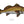 Load image into Gallery viewer, Red Drum II Color Fine Art Print
