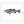 Load image into Gallery viewer, Striped Bass II Black and White Fine Art Print
