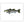 Load image into Gallery viewer, Striped Bass II Color Fine Art Print
