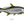 Load image into Gallery viewer, Tarpon II Color Fine Art Print
