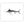 Load image into Gallery viewer, White Marlin II Black and White Fine Art Print
