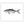 Load image into Gallery viewer, Yellowtail II Black and White Fine Art Print
